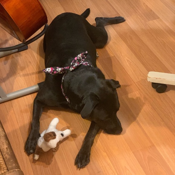 Going off to college sale! 🏫 Make offers! I will not get offended by any offer✨ - Picture 5 of 7